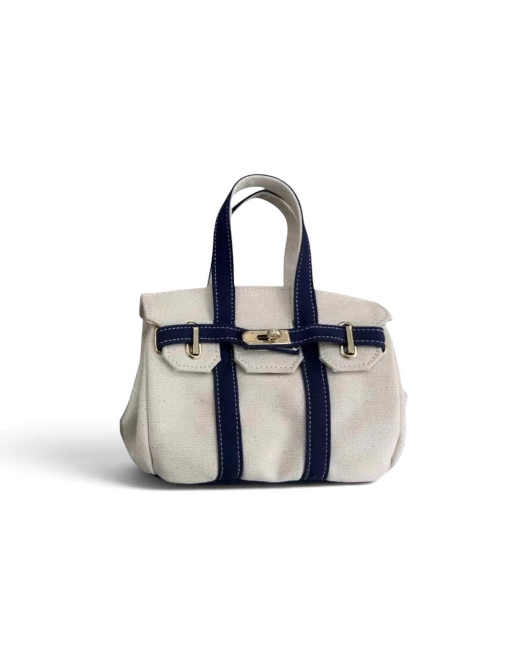 The Luxey Mini Canvas Tote Tan