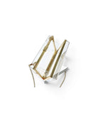 The Shawn Clear Crossbody Handbag Gold